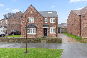 Photo 31- click for photo gallery